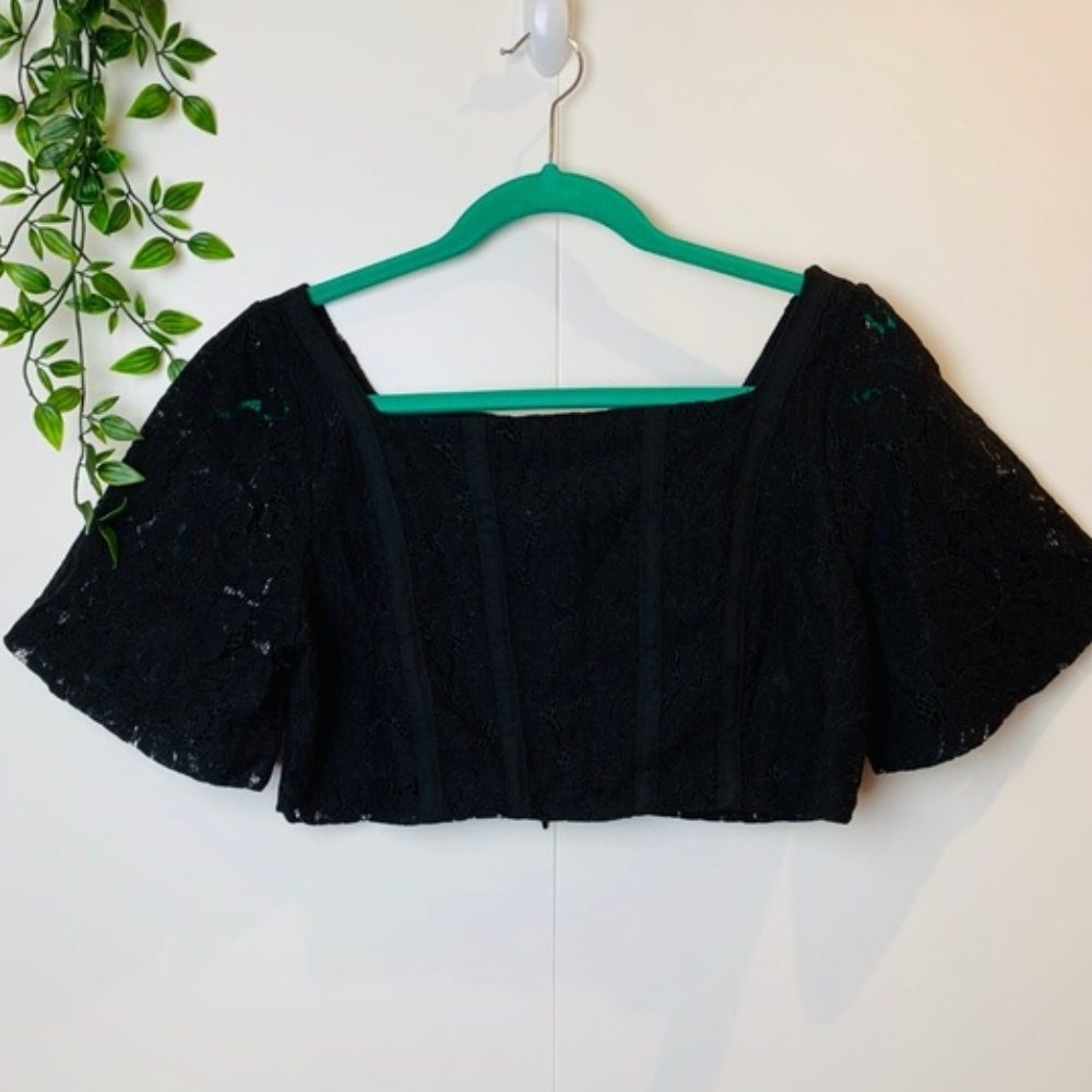 NWT ZARA Square Neck Black Lace Crop Top